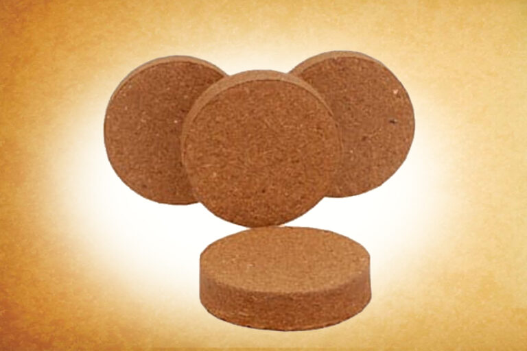 coco -2